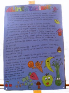 Disegno